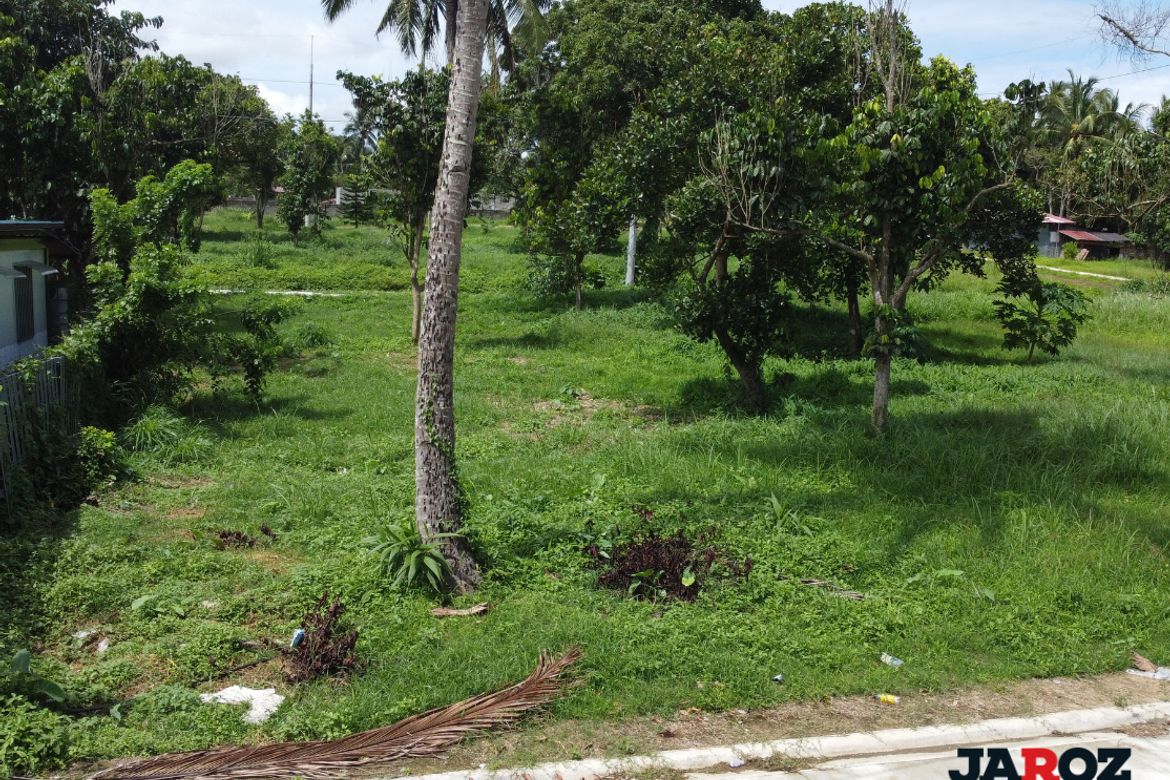 Land for Sale in Mangas II, Alfonso, Cavite – photo 2