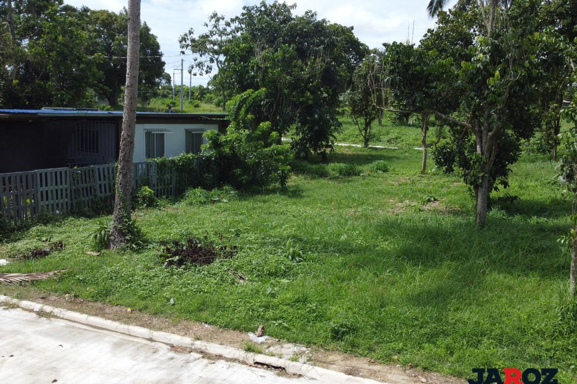 Land for Sale in Mangas II, Alfonso, Cavite – photo 3