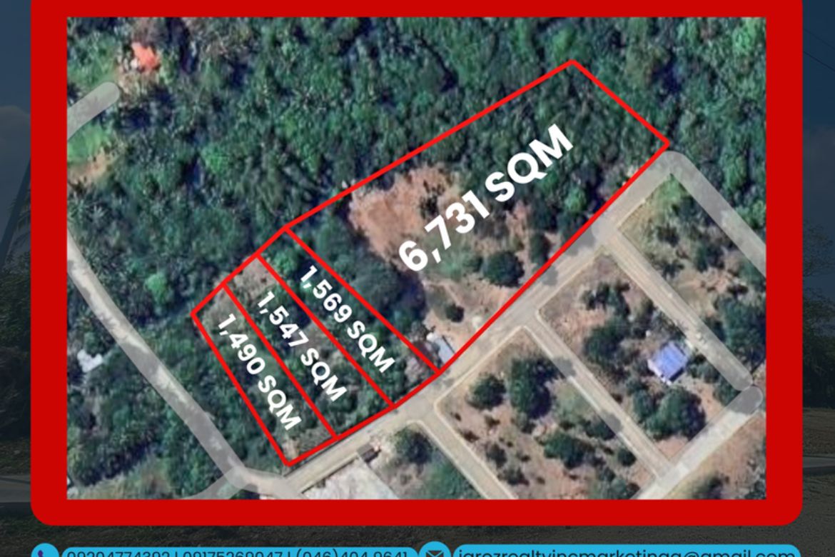 Land for Sale in Mangas II, Alfonso, Cavite – photo 2