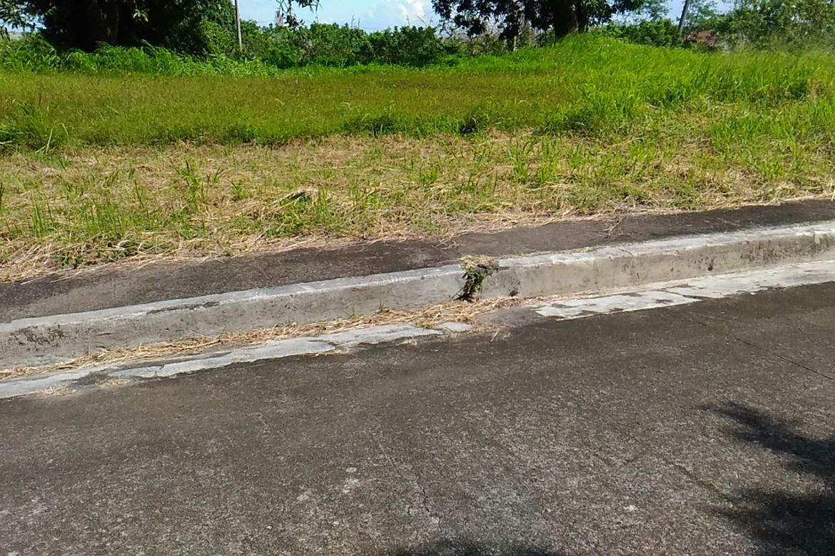 Land for Sale in Manggahan, General Trias, Cavite – photo 4