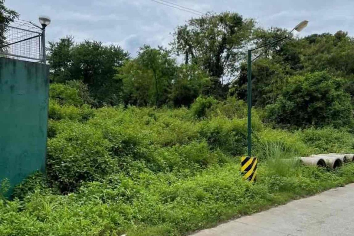 Land for Sale in Manggahan, General Trias, Cavite – photo 4