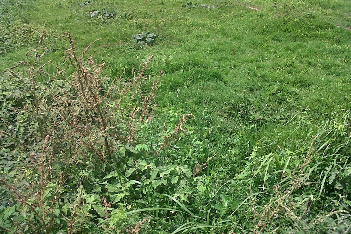 Land for Sale in Manggahan, General Trias, Cavite – photo 2