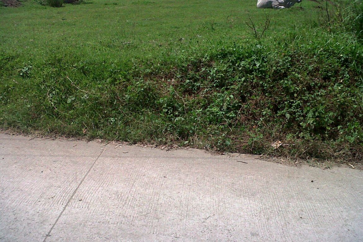 Land for Sale in Manggahan, General Trias, Cavite – photo 3