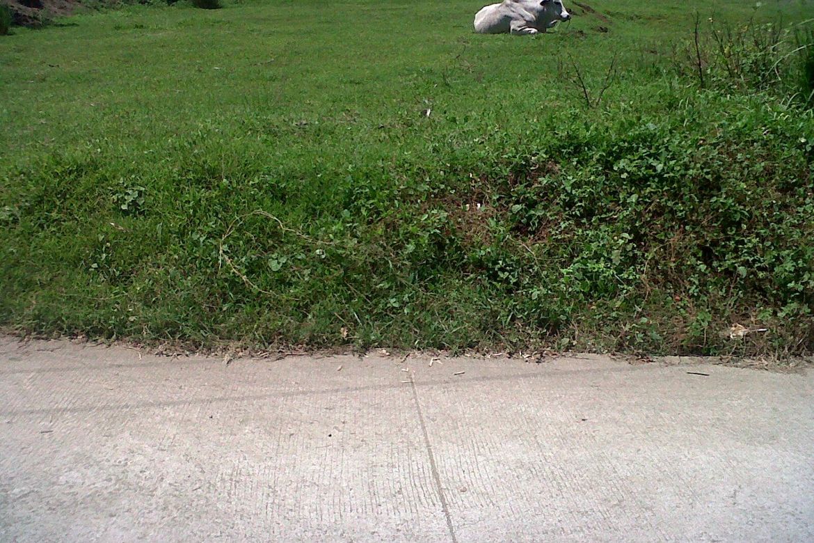 Land for Sale in Manggahan, General Trias, Cavite – photo 4