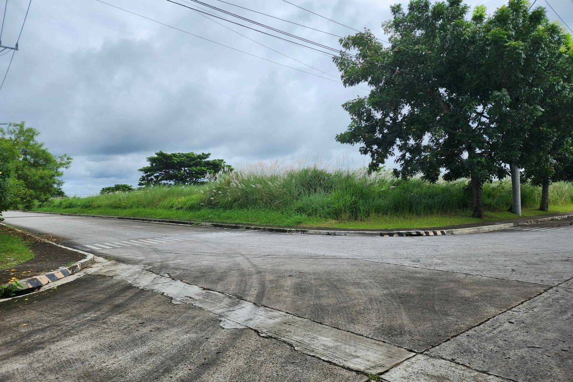Land for Sale in Manggahan, General Trias, Cavite – photo 3