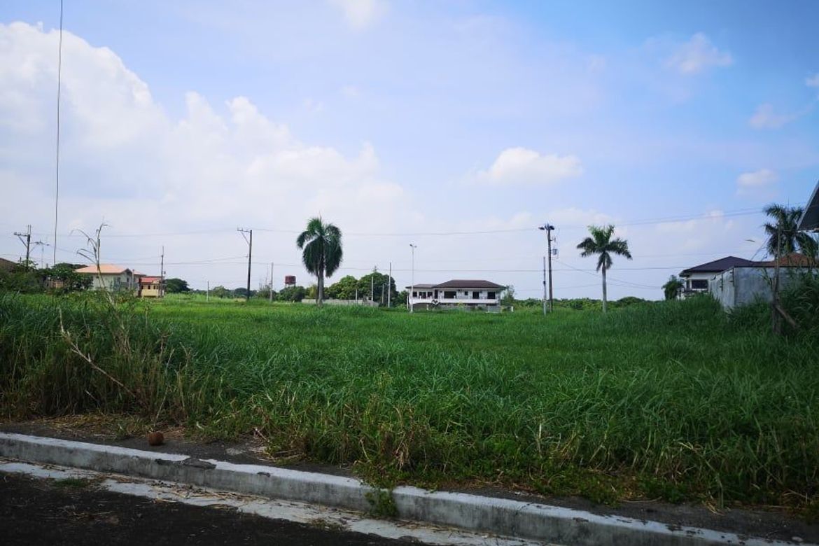 Land for Sale in Manggahan, General Trias, Cavite – photo 5