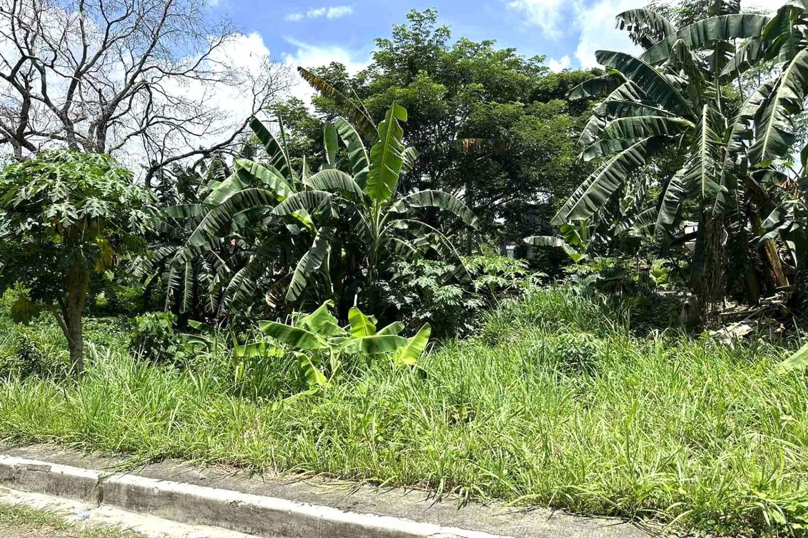 Land for Sale in Manggahan, General Trias, Cavite