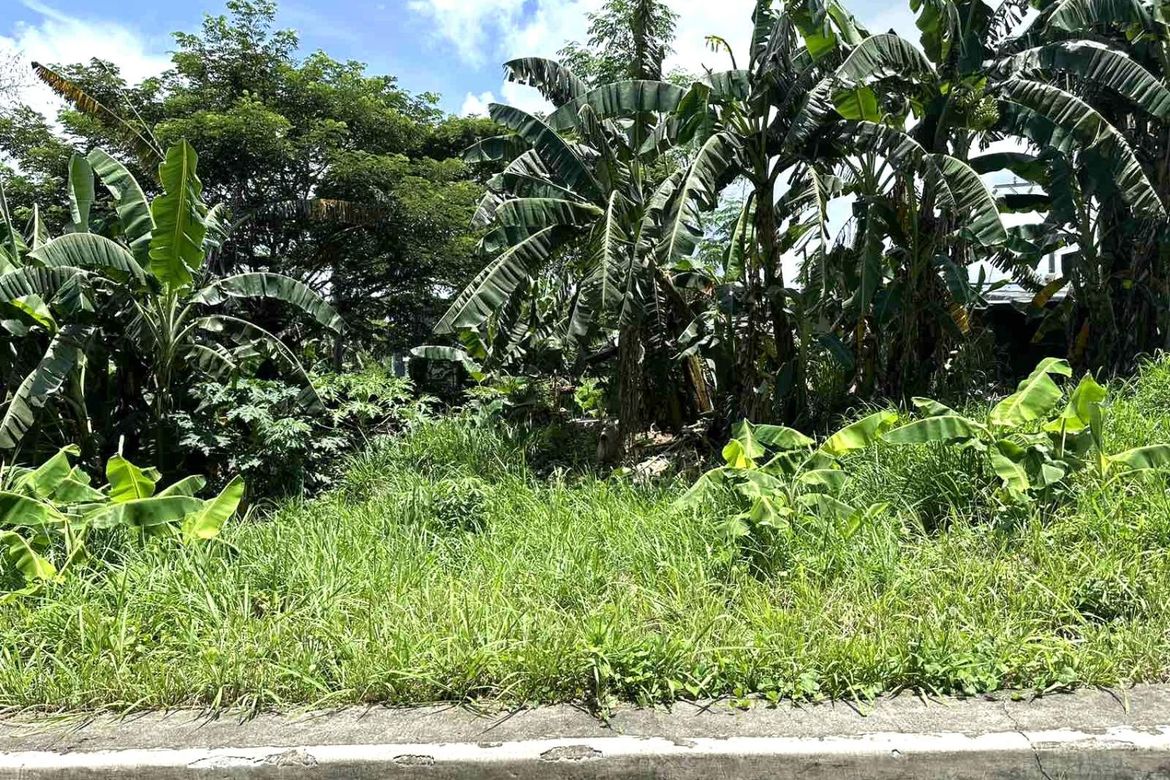 Land for Sale in Manggahan, General Trias, Cavite – photo 2