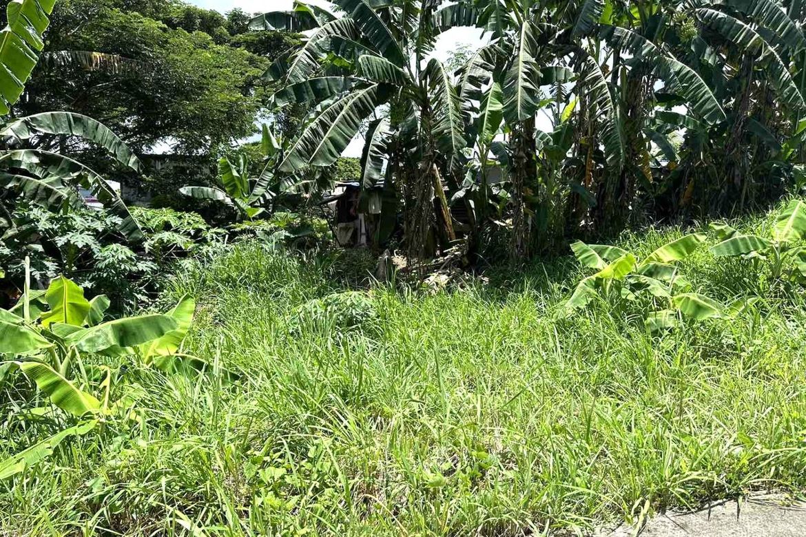 Land for Sale in Manggahan, General Trias, Cavite – photo 4