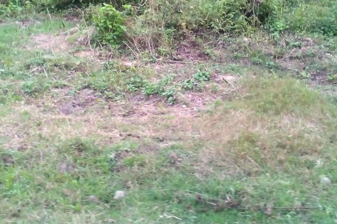 Land for Sale in Manggahan, General Trias, Cavite – photo 3