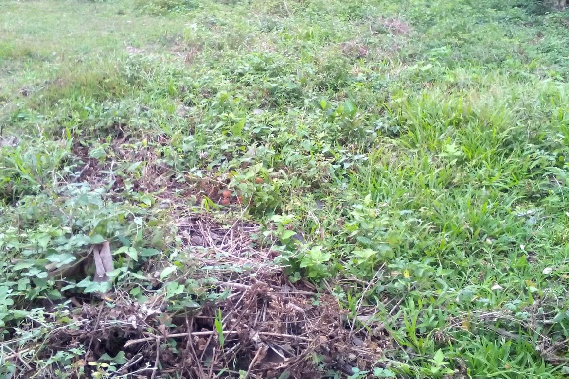 Land for Sale in Manggahan, General Trias, Cavite – photo 4