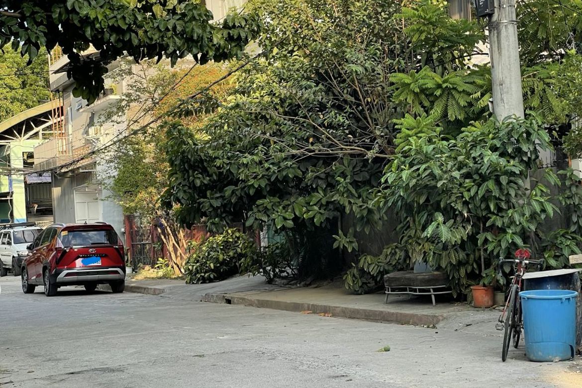 Land for Sale in Manggahan, Pasig, Metro Manila – photo 4