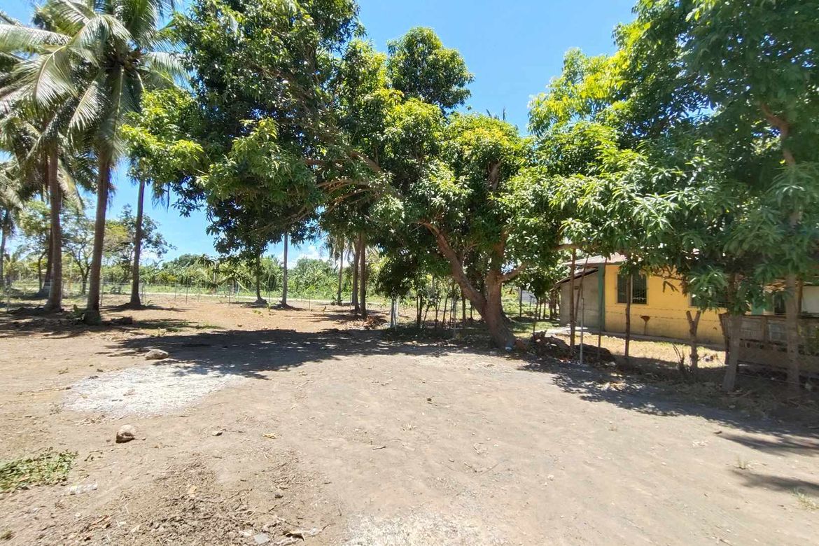 Land for Sale in Manggalang-Bantilan, Sariaya, Quezon