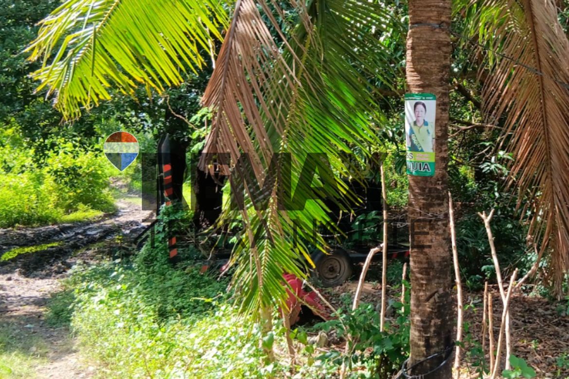 Land for Sale in Mangin, Dagupan, Pangasinan – photo 2