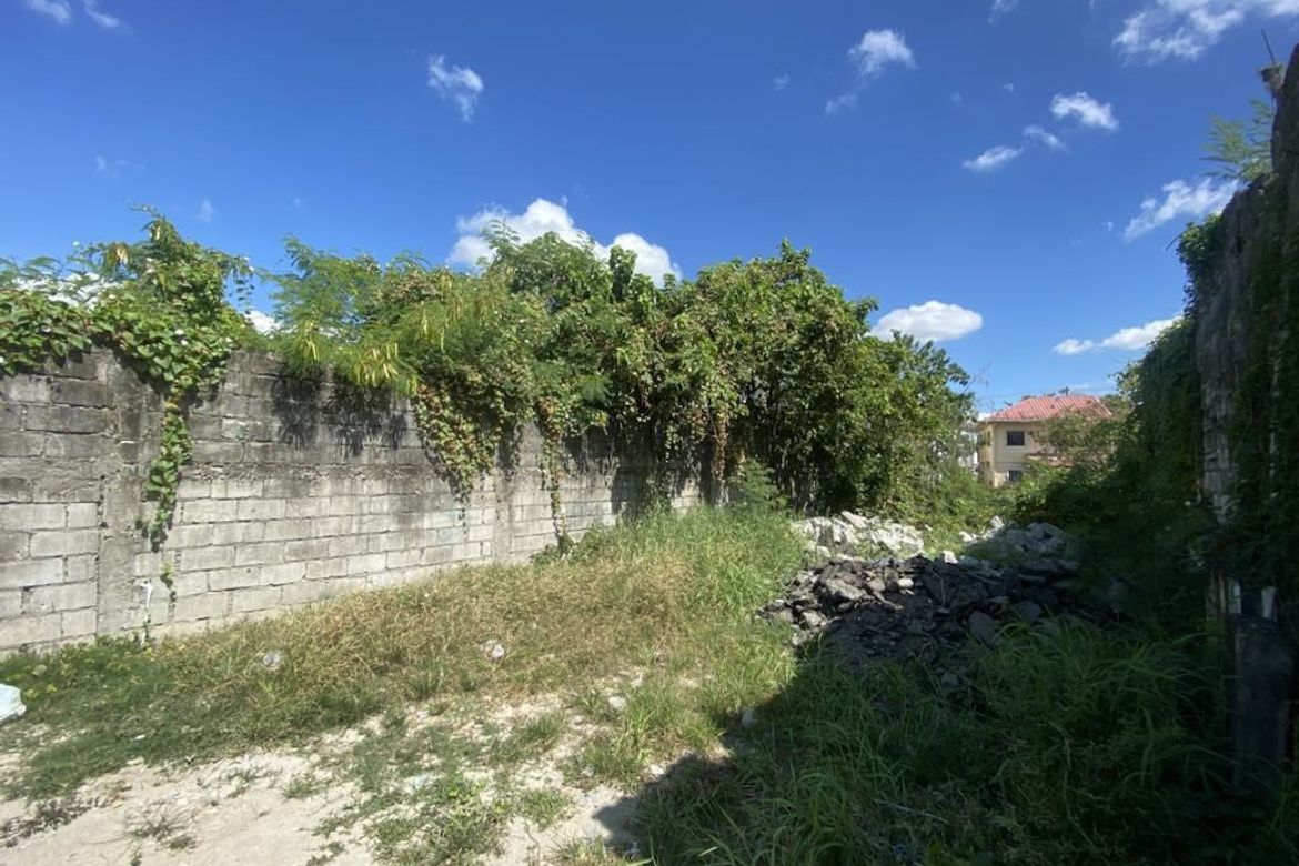Land for Sale in Maniango, Minalin, Pampanga – photo 3