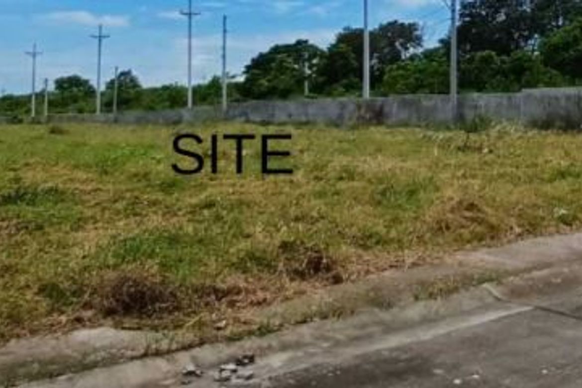 Land for Sale in Manibaug Libutad, Porac, Pampanga – photo 4