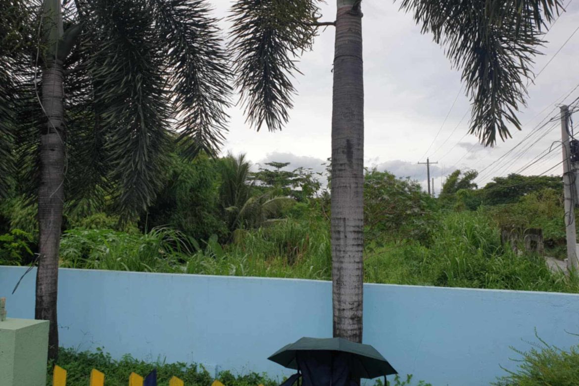 Land for Sale in Manibaug Libutad, Porac, Pampanga