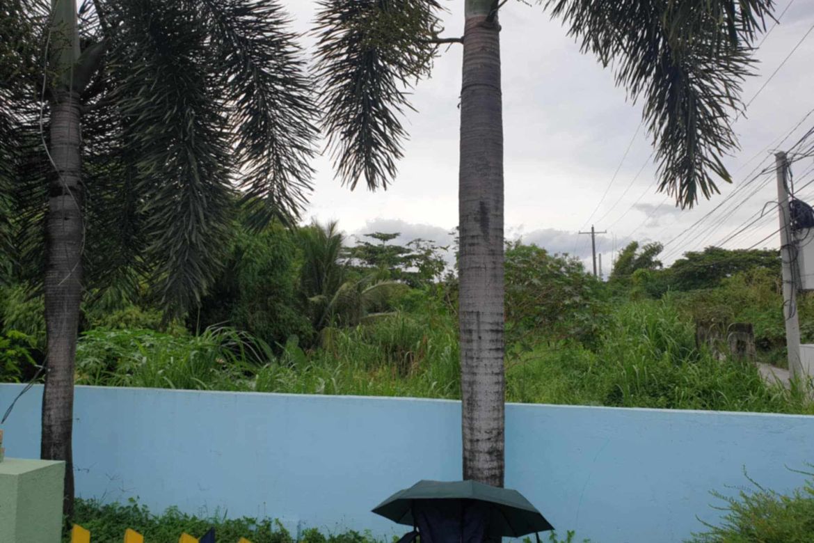 Land for Sale in Manibaug Libutad, Porac, Pampanga – photo 2