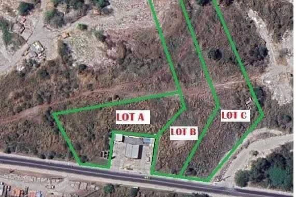 Land for Sale in Manibaug Libutad, Porac, Pampanga – photo 2