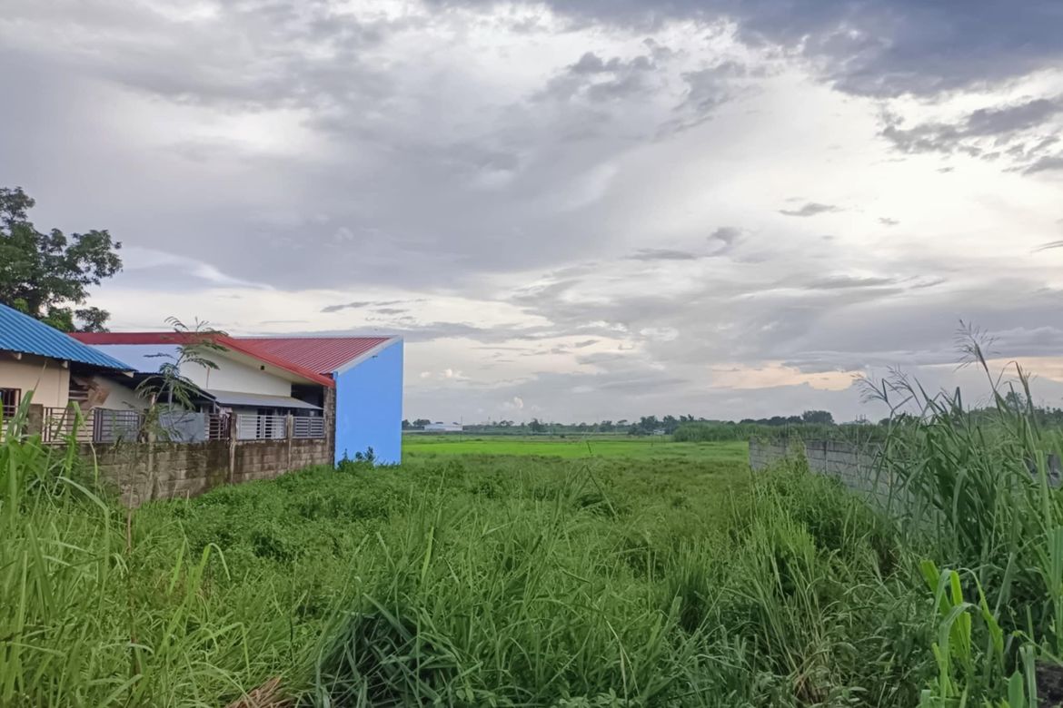Land for Sale in Manibaug Libutad, Porac, Pampanga – photo 5