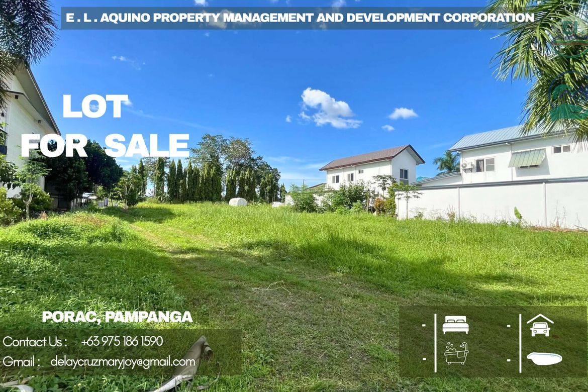 Land for Sale in Manibaug Paralaya, Porac, Pampanga