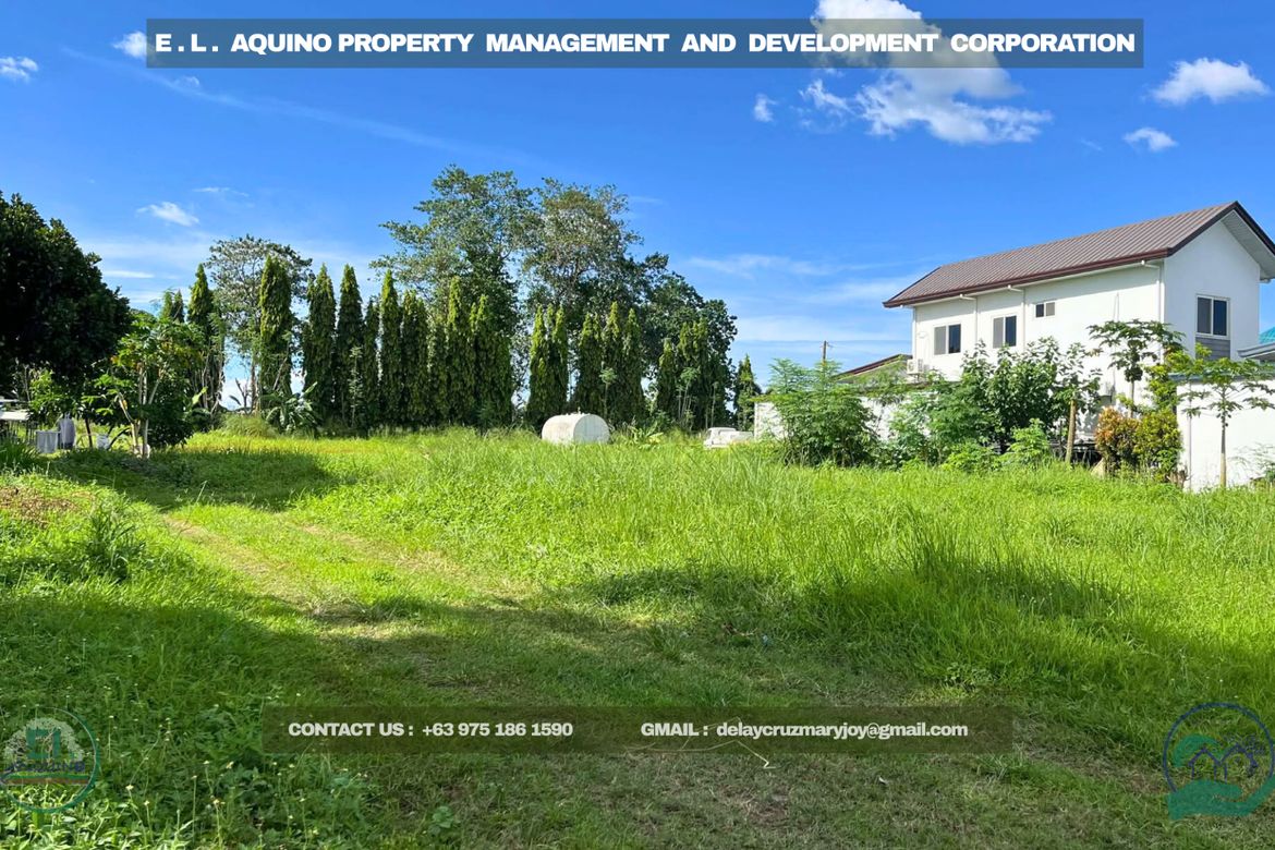 Land for Sale in Manibaug Paralaya, Porac, Pampanga – photo 2