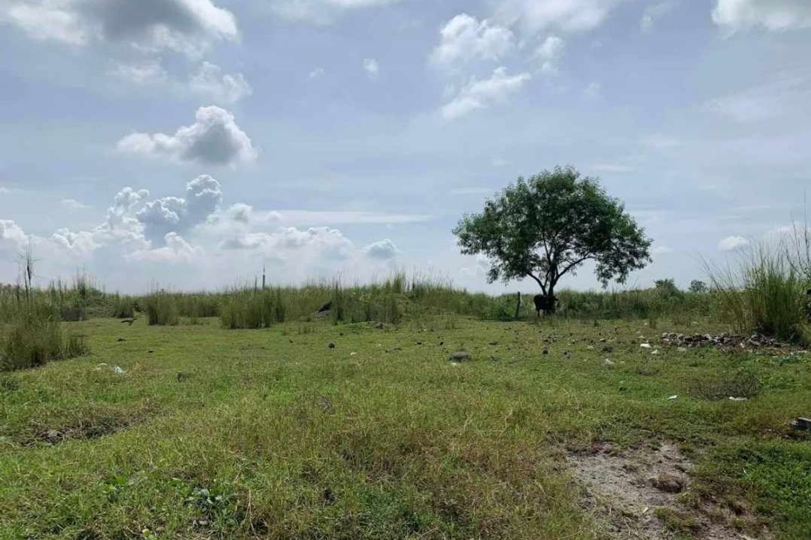 Land for Sale in Manibaug Pasig, Porac, Pampanga