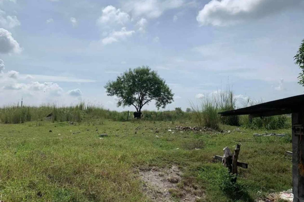 Land for Sale in Manibaug Pasig, Porac, Pampanga – photo 3