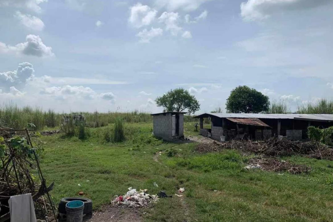 Land for Sale in Manibaug Pasig, Porac, Pampanga – photo 4