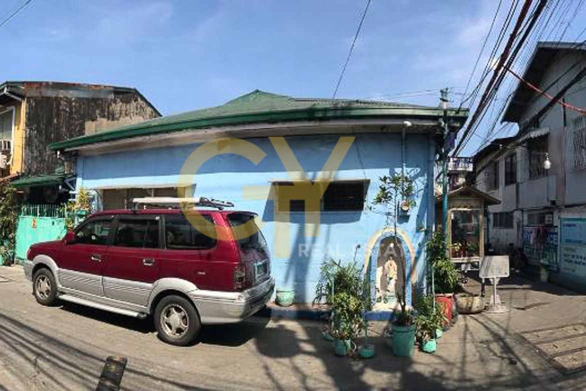 Land for Sale in Manila, Metro Manila – photo 2