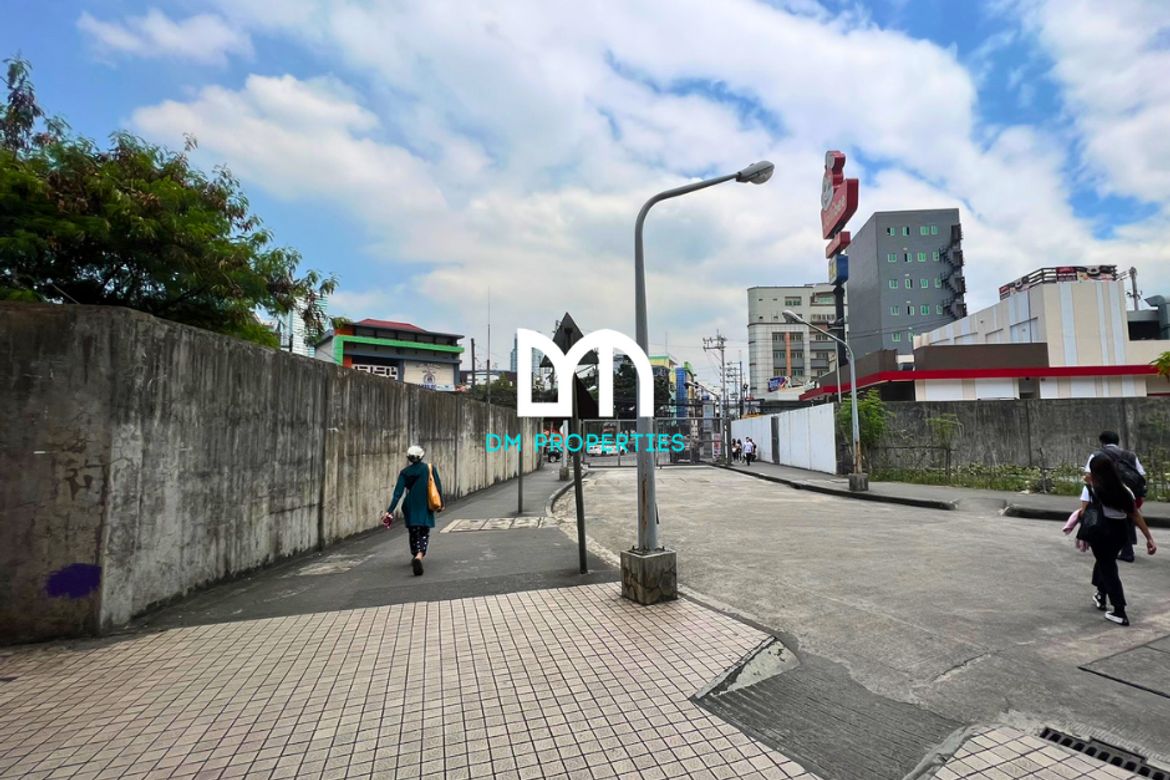 Land for Sale in Manila, Metro Manila – photo 7