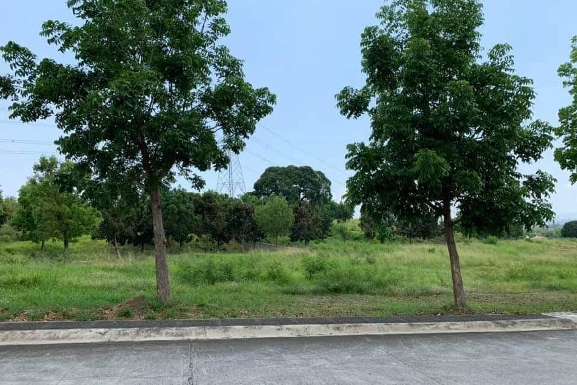Land for Sale in Manila Southwoods Peak V, Cabilang Baybay, Carmona, Cavite – photo 2