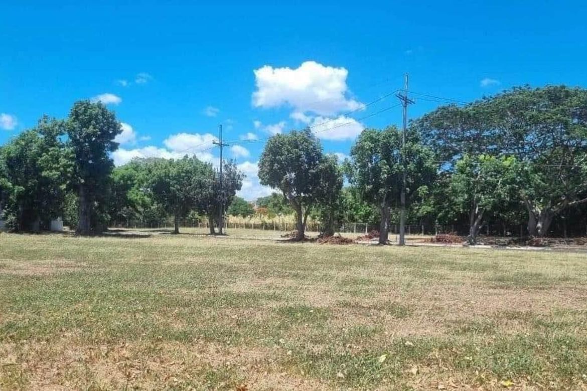Land for Sale in Manila Southwoods Peak V, Cabilang Baybay, Carmona, Cavite – photo 3