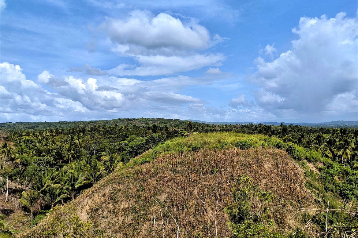 Land for Sale in Mankilam, Tagum, Davao del Norte