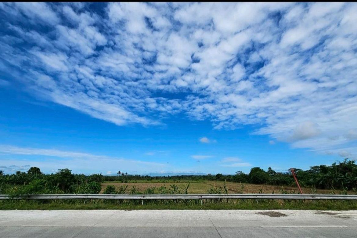 Land for Sale in Mankilam, Tagum, Davao del Norte – photo 2