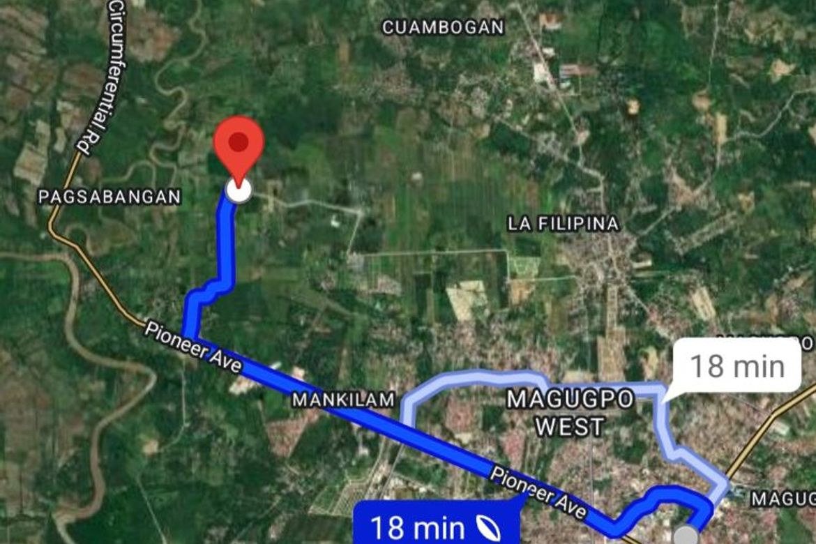 Land for Sale in Mankilam, Tagum, Davao del Norte – photo 3