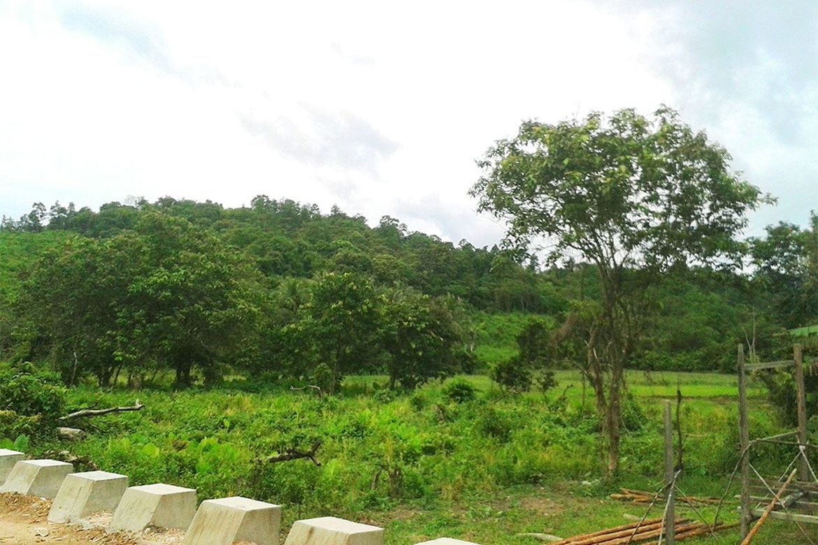 Land for Sale in Manlag, El Nido, Palawan – photo 4