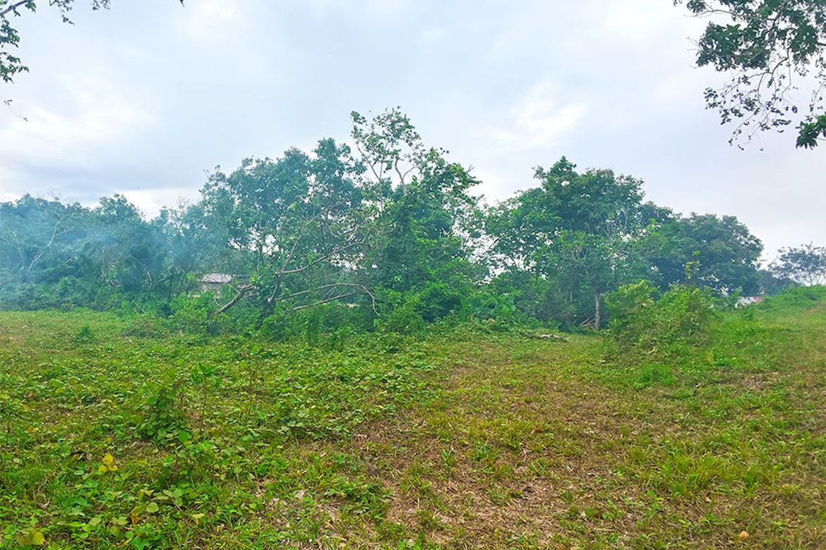 Land for Sale in Manlag, El Nido, Palawan – photo 8