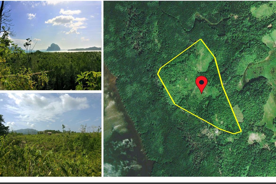Land for Sale in Manlag, El Nido, Palawan