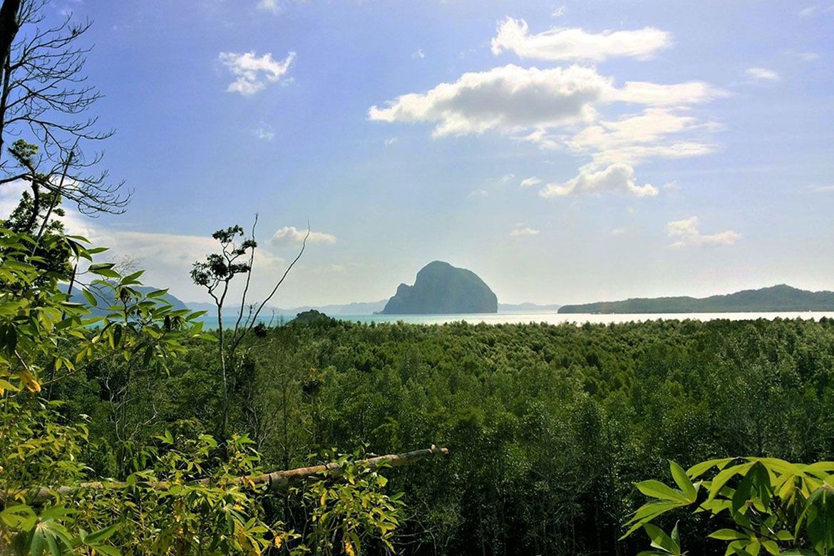 Land for Sale in Manlag, El Nido, Palawan – photo 2