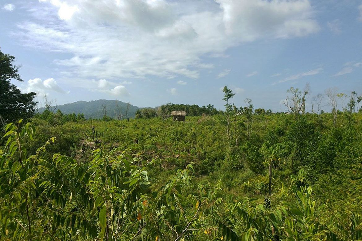 Land for Sale in Manlag, El Nido, Palawan – photo 3