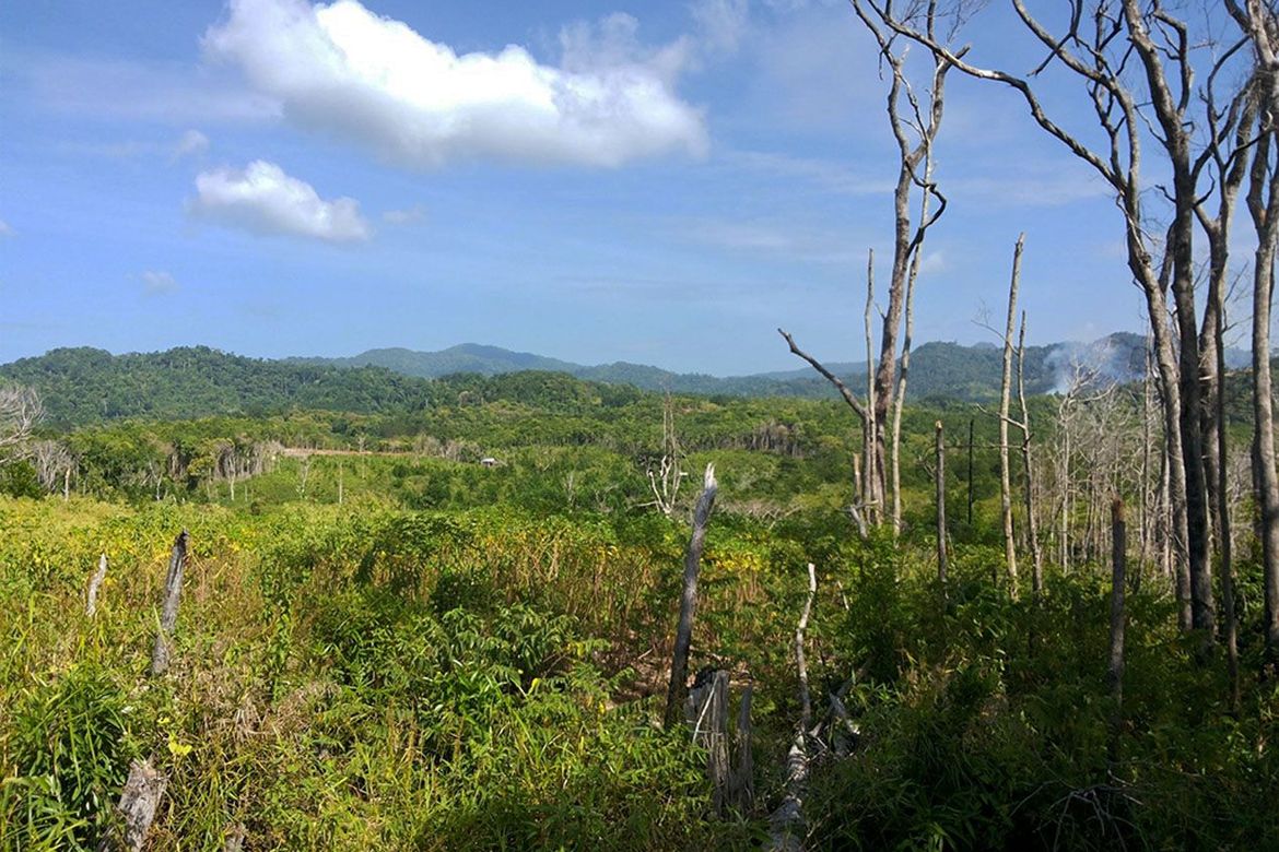 Land for Sale in Manlag, El Nido, Palawan – photo 4