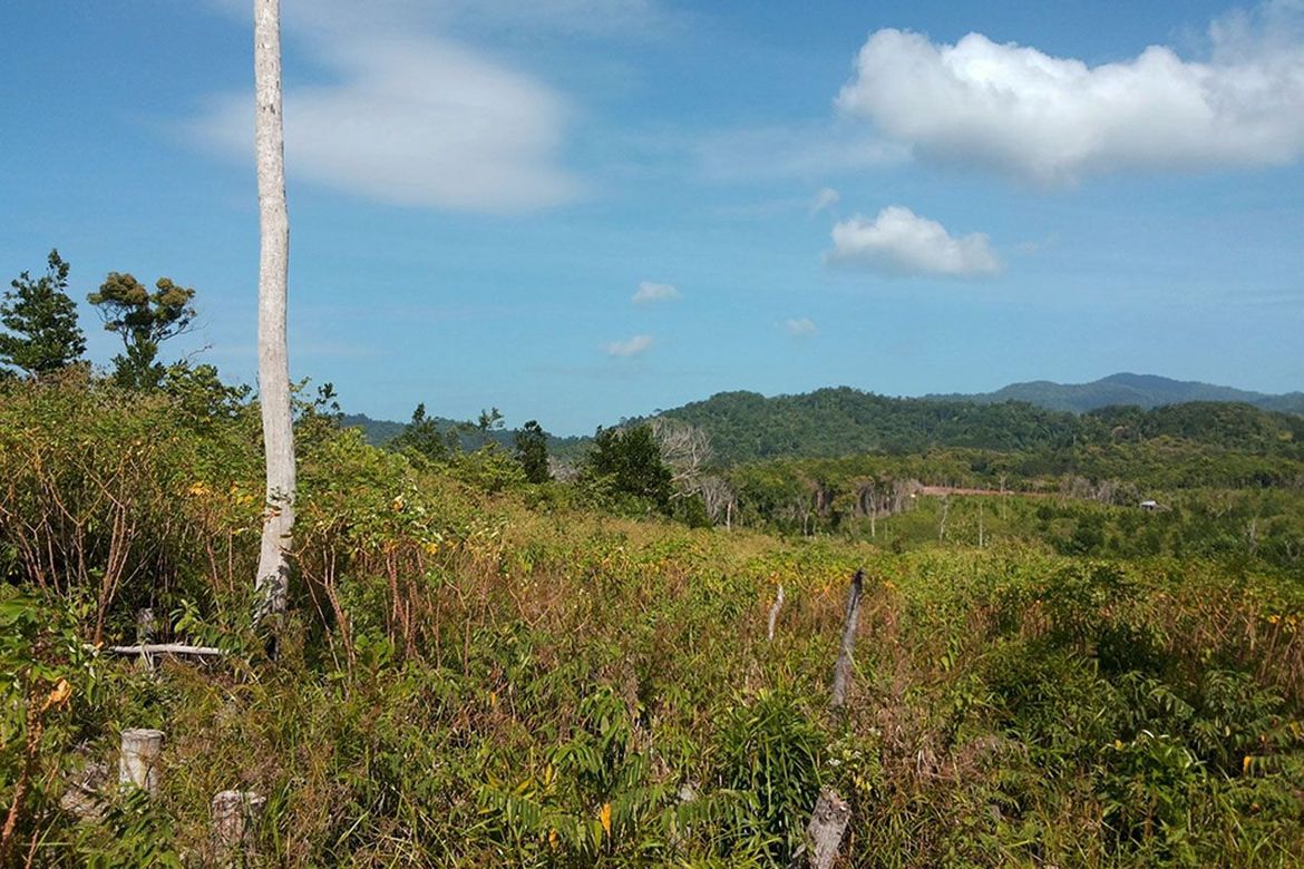 Land for Sale in Manlag, El Nido, Palawan – photo 5