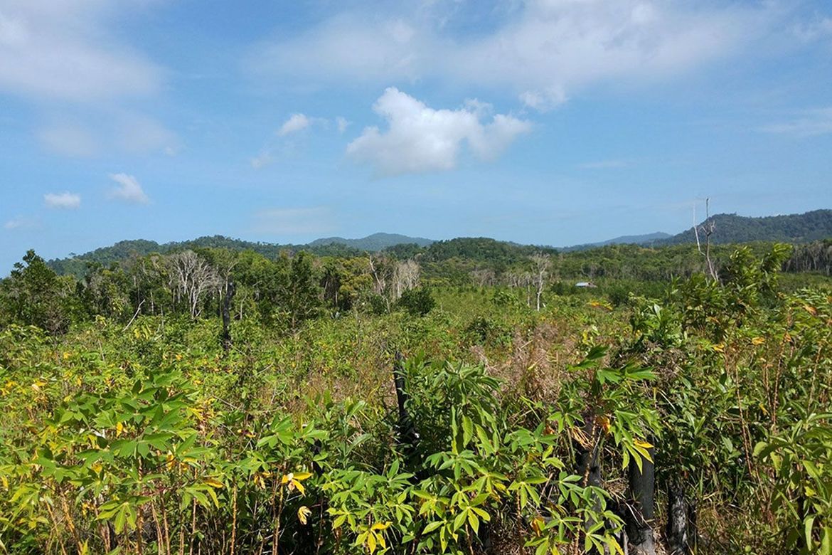 Land for Sale in Manlag, El Nido, Palawan – photo 6