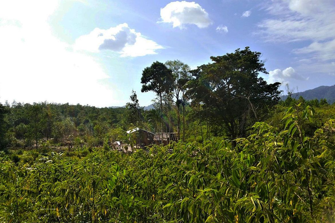 Land for Sale in Manlag, El Nido, Palawan – photo 8