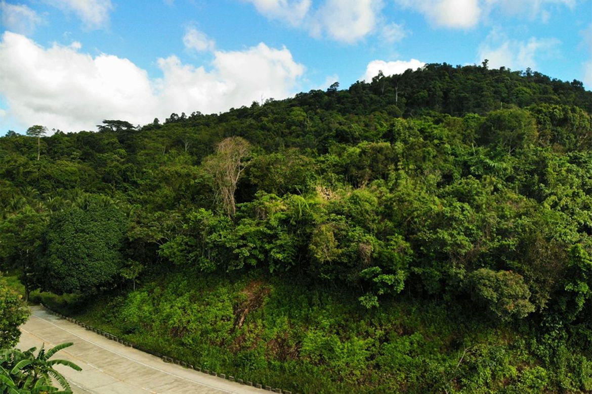 Land for Sale in Manlag, El Nido, Palawan – photo 4