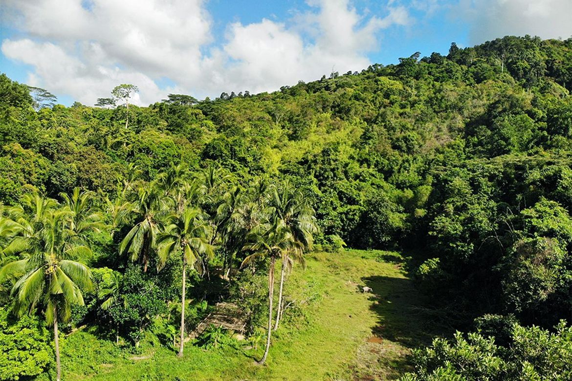 Land for Sale in Manlag, El Nido, Palawan – photo 6