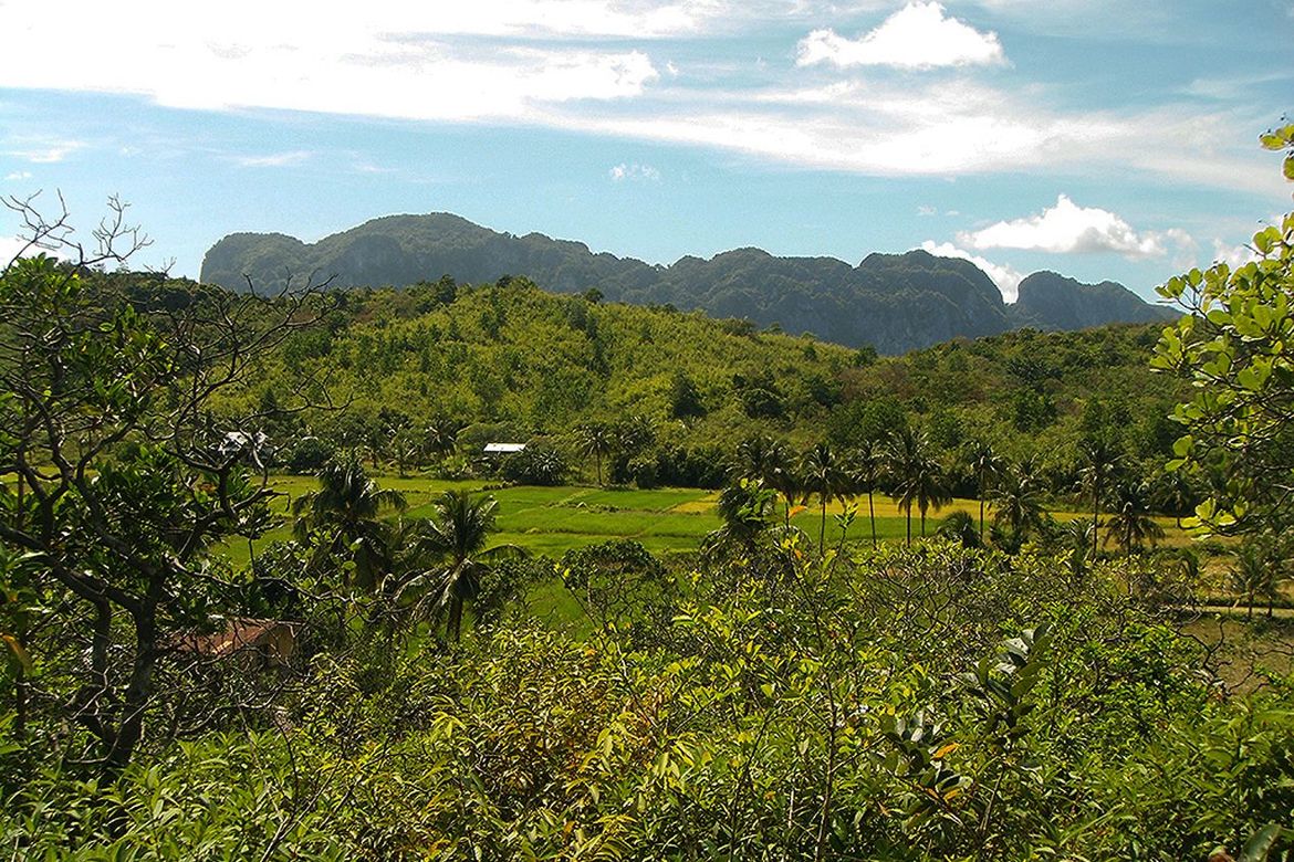 Land for Sale in Manlag, El Nido, Palawan – photo 2