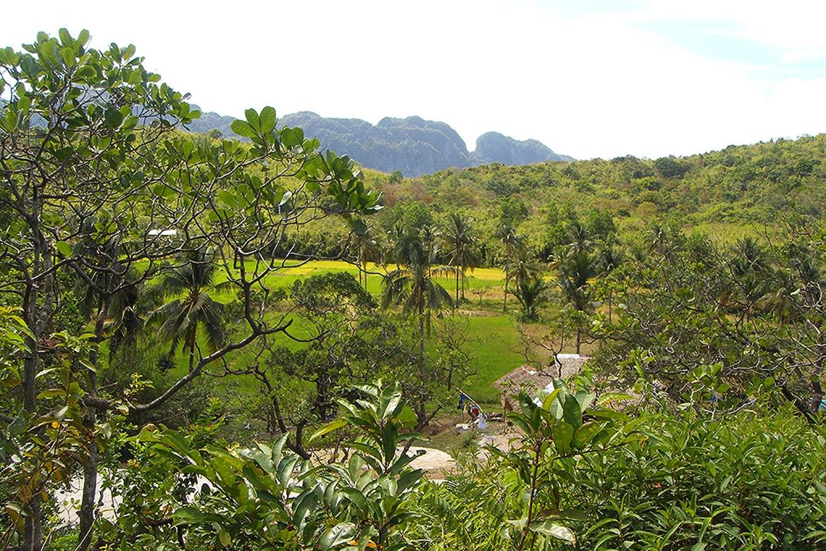 Land for Sale in Manlag, El Nido, Palawan – photo 3