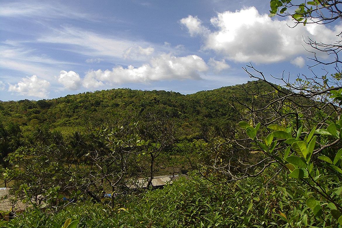 Land for Sale in Manlag, El Nido, Palawan – photo 5
